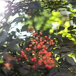 & Bright On Two Floors 'turquoise' -by Easylife Swiss Appartement Lugano