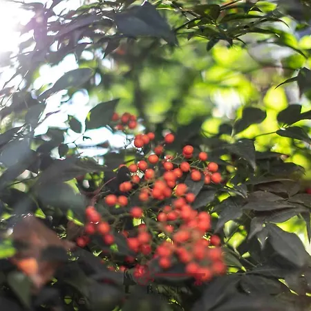 & Bright On Two Floors 'turquoise' -by Easylife Swiss Appartamento Lugano