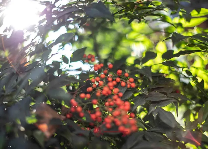 & Bright On Two Floors 'turquoise' -by Easylife Swiss דירה לוגאנו